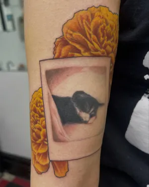 Colour marigolds framing a polaroid of a cat, on an arm — by Gabriel Gonzalez